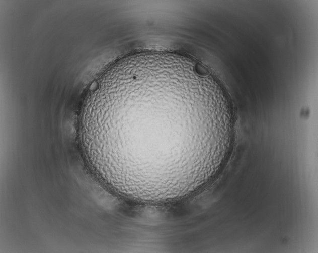 X0000116820305200912181414