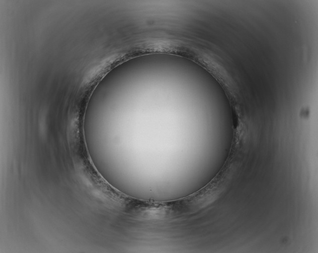 X0000116820306200912181414