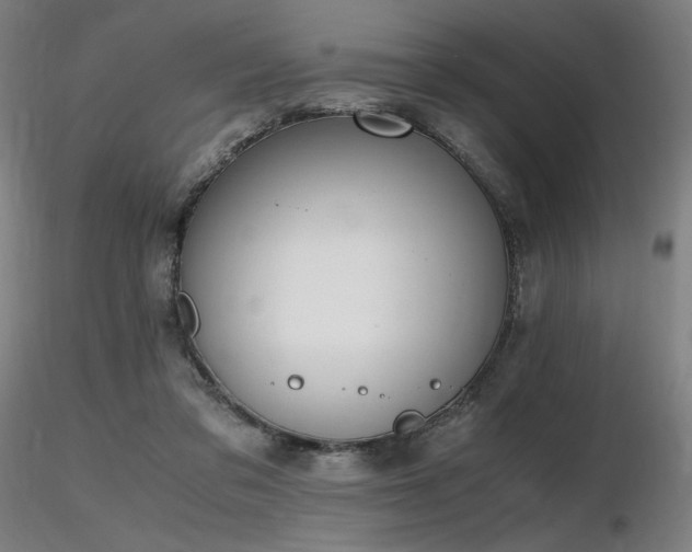 X0000116820309200912181414