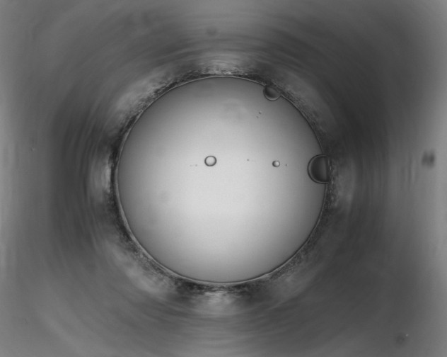 X0000116820310200912181414