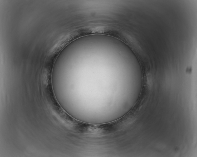 X0000116820311200912181414