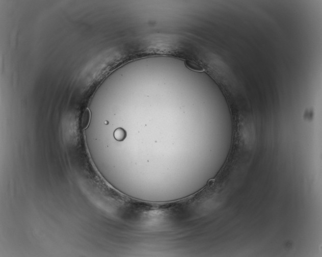 X0000116820312200912181414