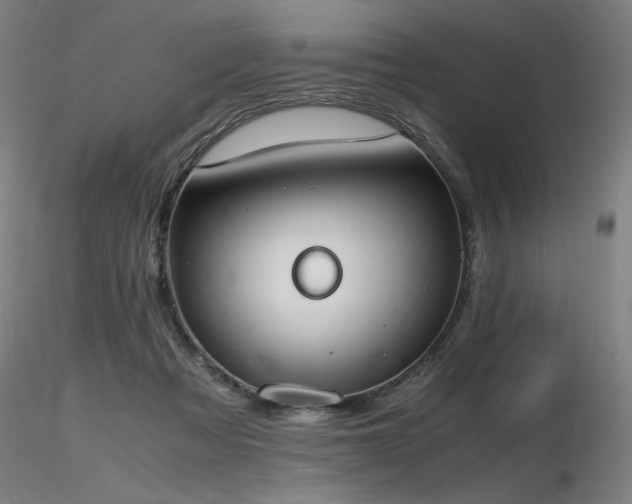 X0000116820313200912181414