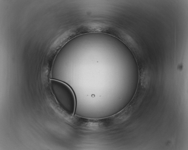 X0000116820314200912181414