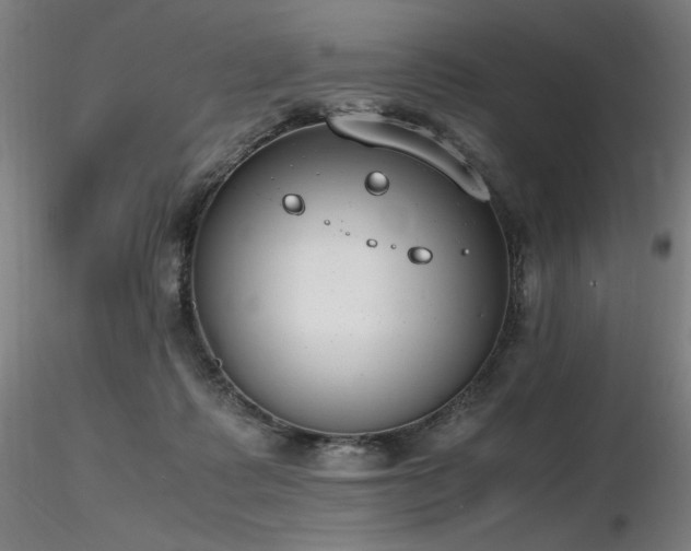 X0000116820315200912181414