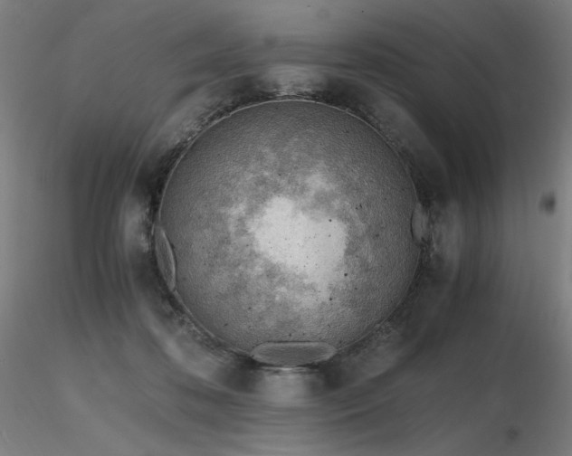 X0000116820316200912181414