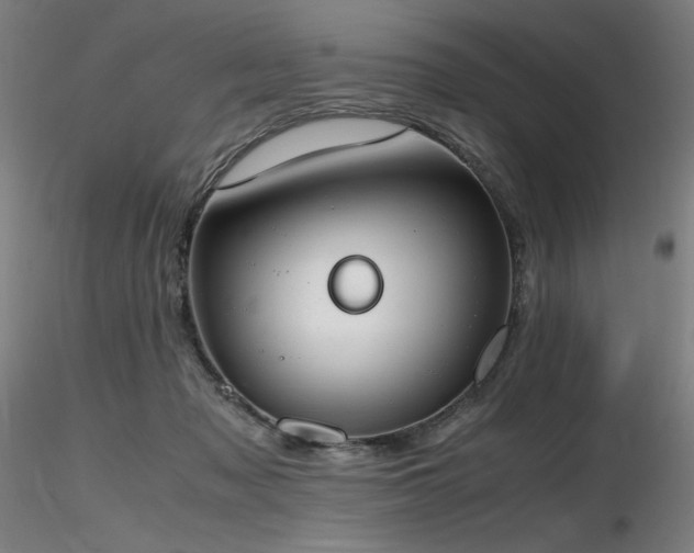 X0000116820317200912181414