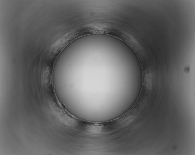 X0000116820318200912181414