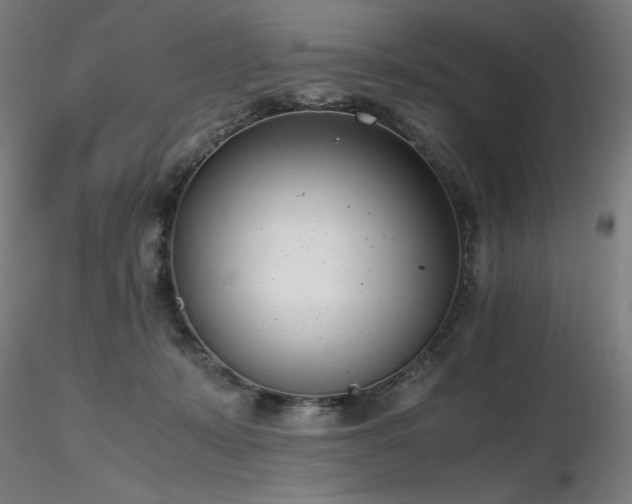 X0000116820319200912181414