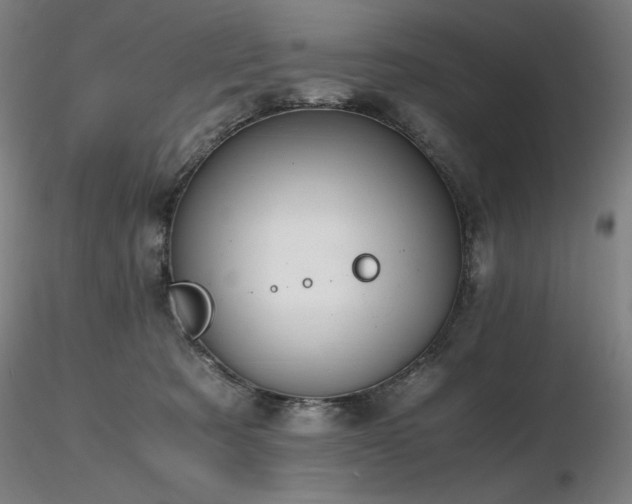 X0000116820321200912181414