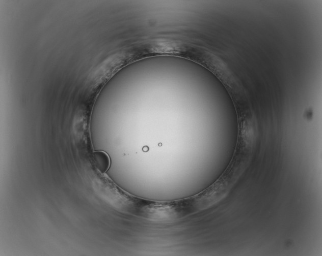 X0000116820322200912181414