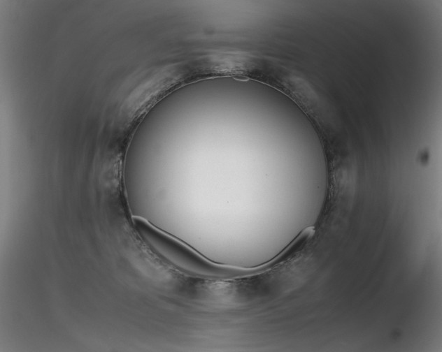 X0000116820325200912181414