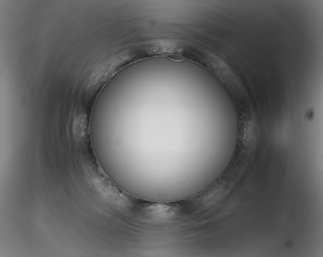 X0000116820326200912181414