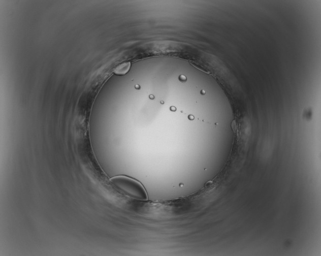 X0000116820327200912181414