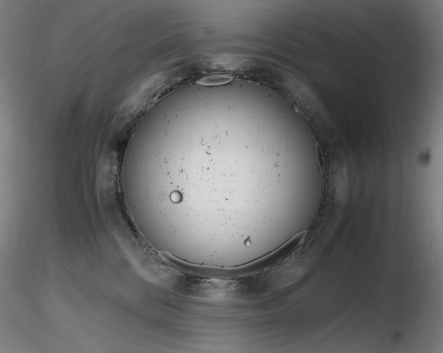 X0000116820328200912181414