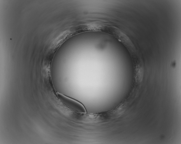 X0000116820329200912181414