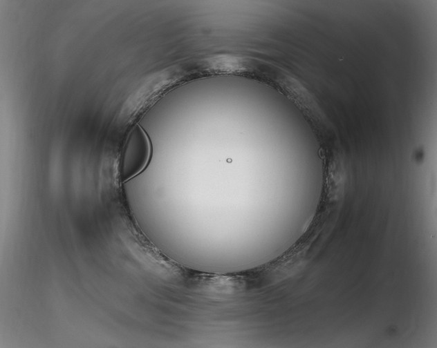 X0000116820330200912181414