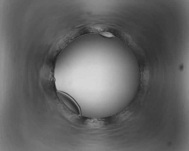 X0000116820331200912181414