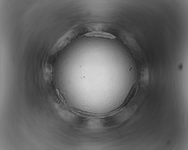 X0000116820332200912181414