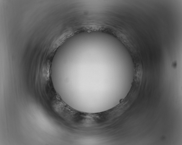 X0000116820334200912181414