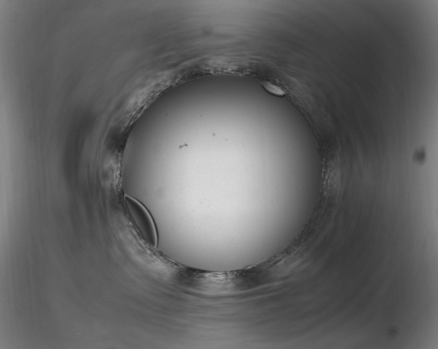 X0000116820335200912181414