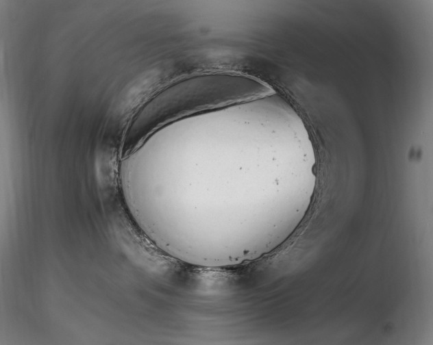 X0000116820336200912181414