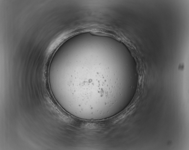 X0000116820341200912181413