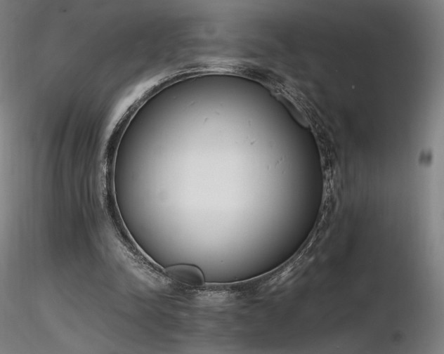 X0000116820342200912181413