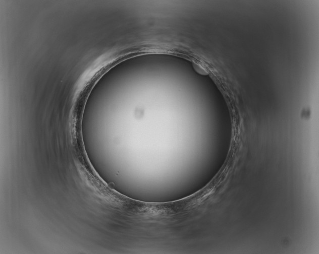 X0000116820343200912181413