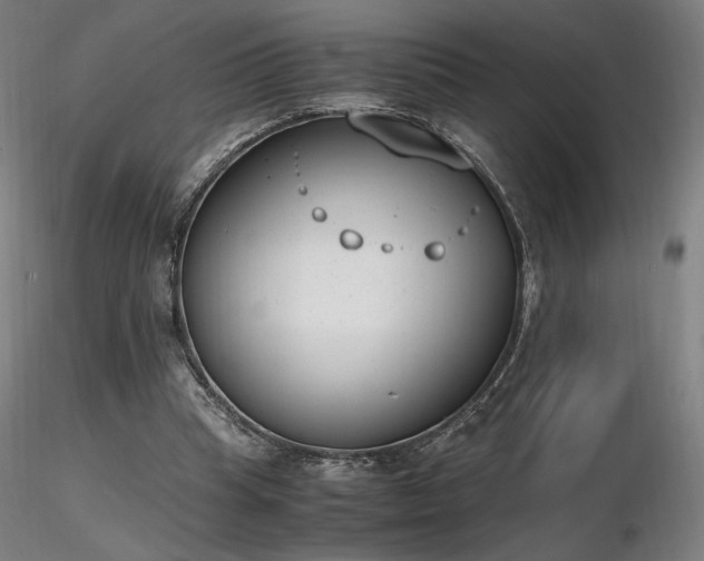 X0000116820345200912181413