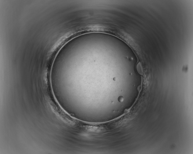 X0000116820347200912181413