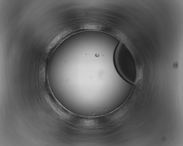 X0000116820349200912181413