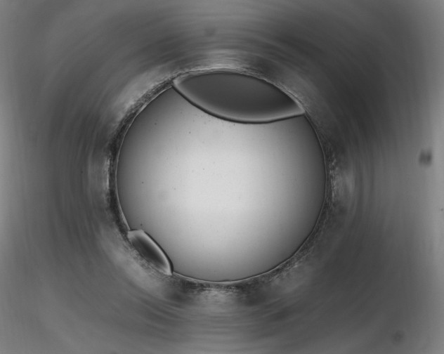 X0000116820350200912181413