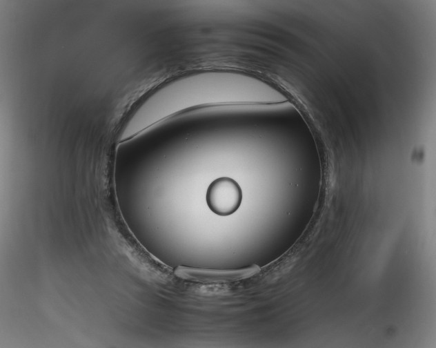 X0000116820353200912181413