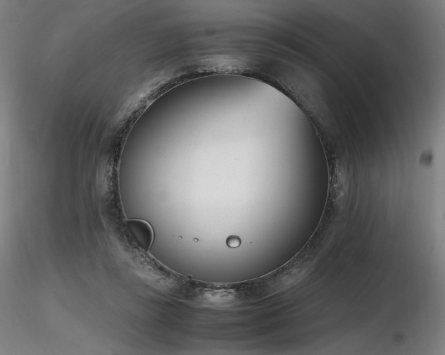 X0000116820355200912181414