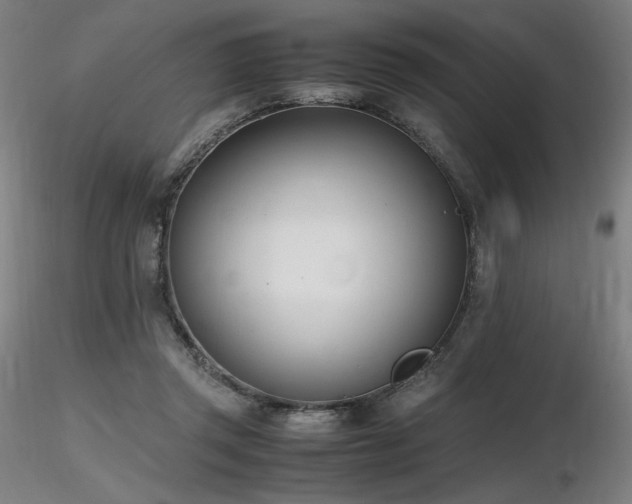 X0000116820357200912181414