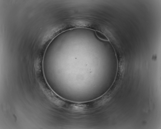 X0000116820359200912181414