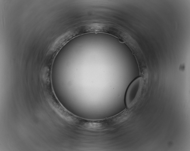 X0000116820361200912181414