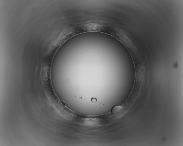 X0000116820363200912181414