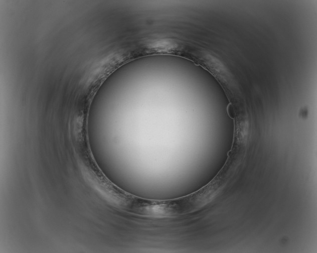 X0000116820365200912181414