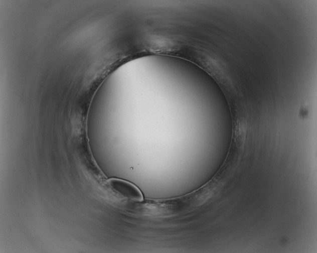 X0000116820367200912181414