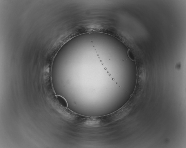 X0000116820369200912181414