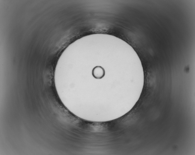 X0000116820370200912181414