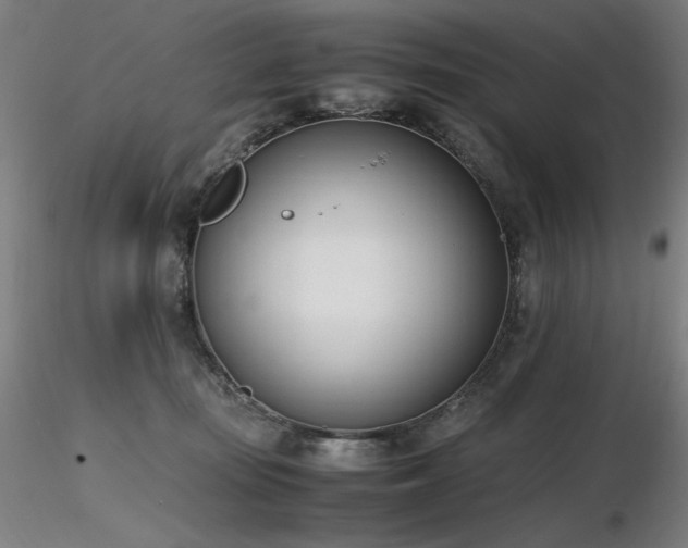 X0000116820371200912181414