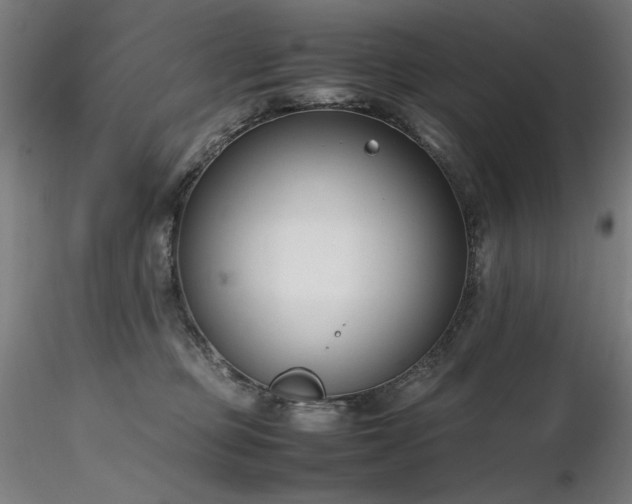 X0000116820373200912181414