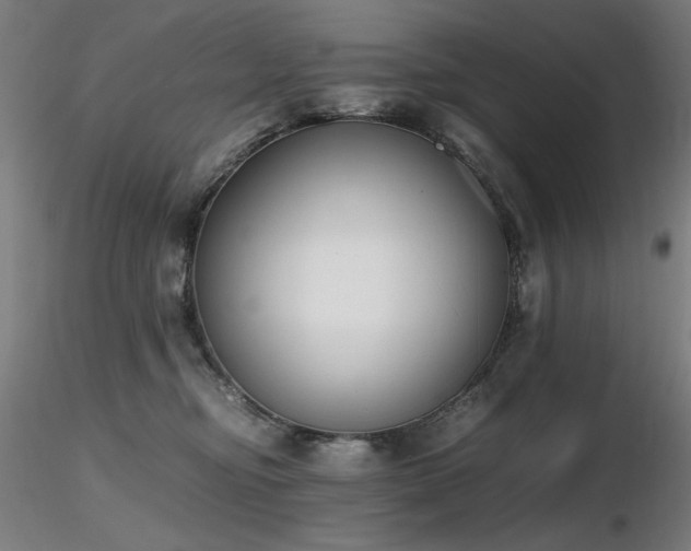 X0000116820374200912181414