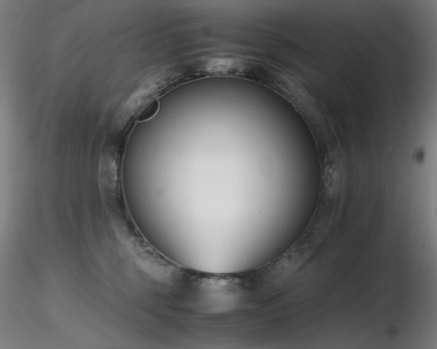 X0000116820375200912181414