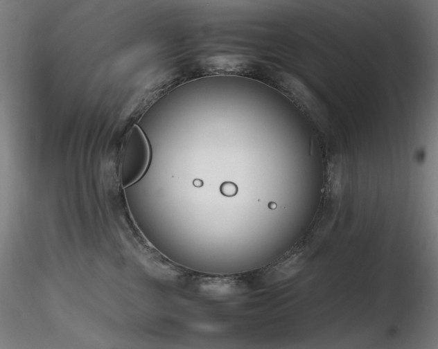 X0000116820377200912181414