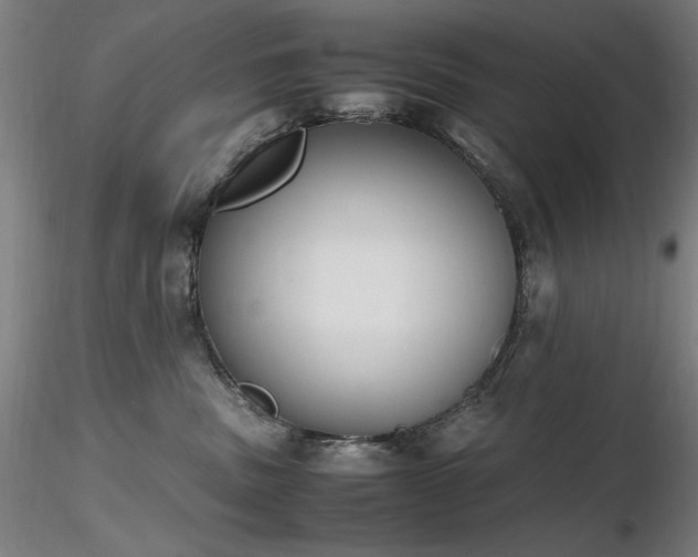 X0000116820379200912181414