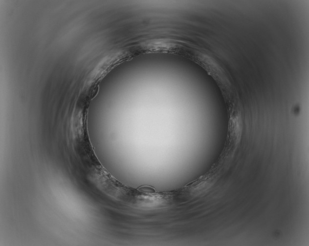 X0000116820381200912181414